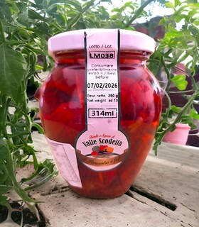 Involtini di Pomodori