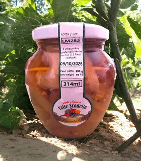 Involtini di Melanzane