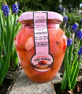 Lampascioni alla pugliese