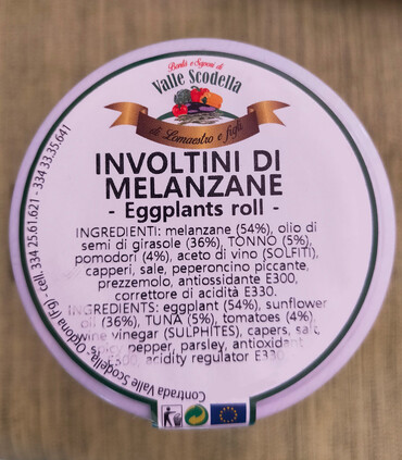 Involtini di Melanzane